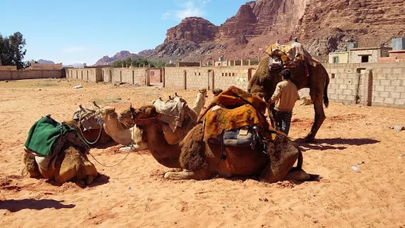 Wadi Rum Accommodation