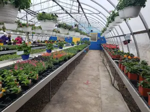 Lowland Gardens