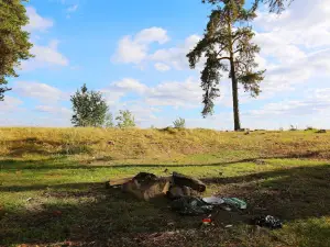 Shishkinopark