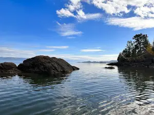 Sea Me Paddle Kayaking & SUP Tours & Rentals