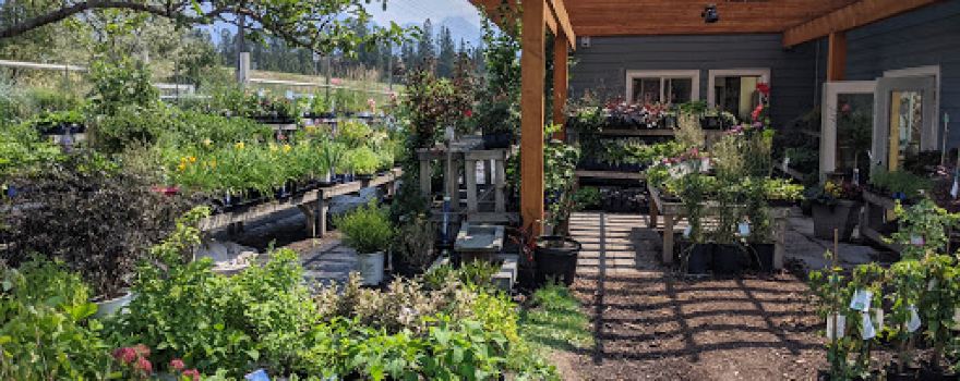 Winderberry and Edibles Farm+Cafe+Catering