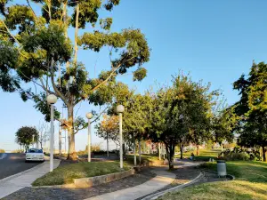 Plaza Insausti