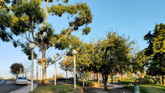 Plaza Insausti