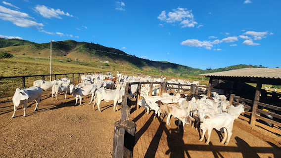 São Felix do Xingu PA TREVO Centro
