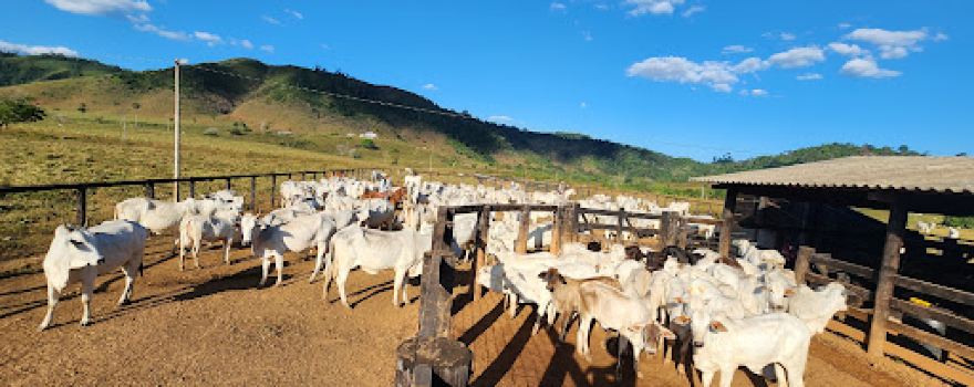 São Felix do Xingu PA TREVO Centro