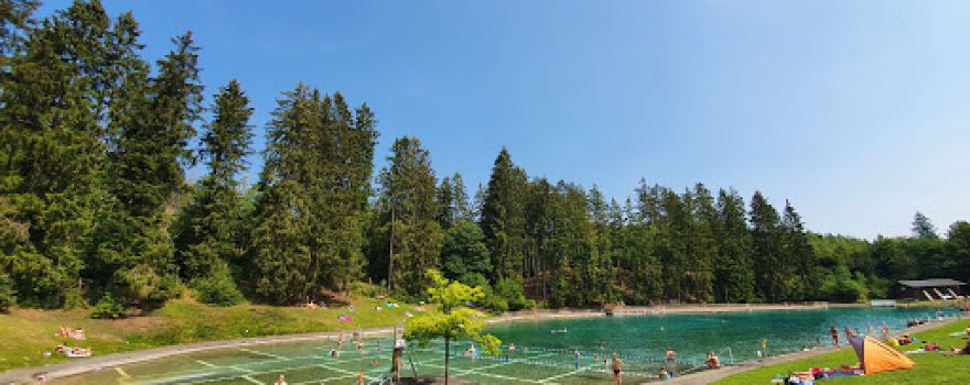 Waldschwimmbad Thalhausermühle