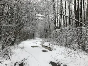 Усадьба Хрептовичей Одровонж