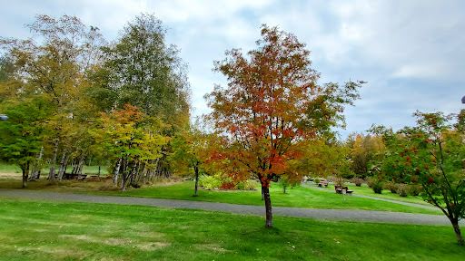 Tornio Arboretum