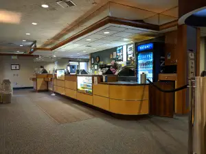 Nugget Theaters