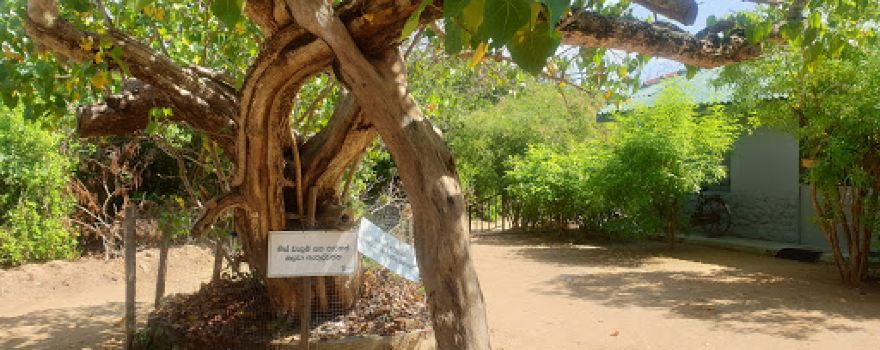 Nimalawa Meditation Center