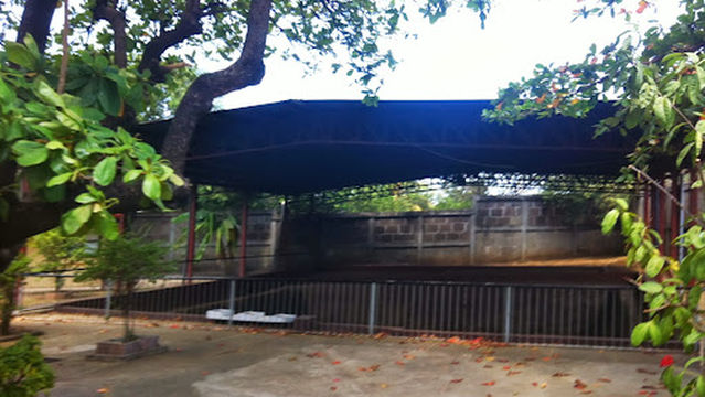 Traces Archaeological Museum Acahualinca