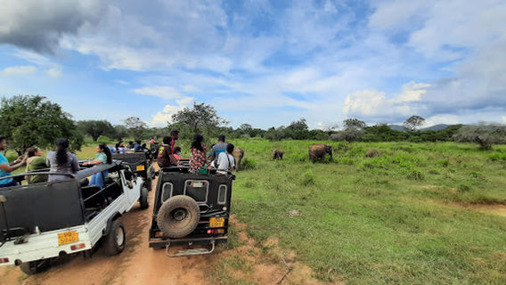 Minneriya Jeep Safari Service