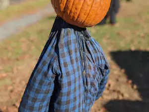 메모리얼 공원