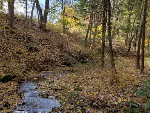 Carroll Community Park