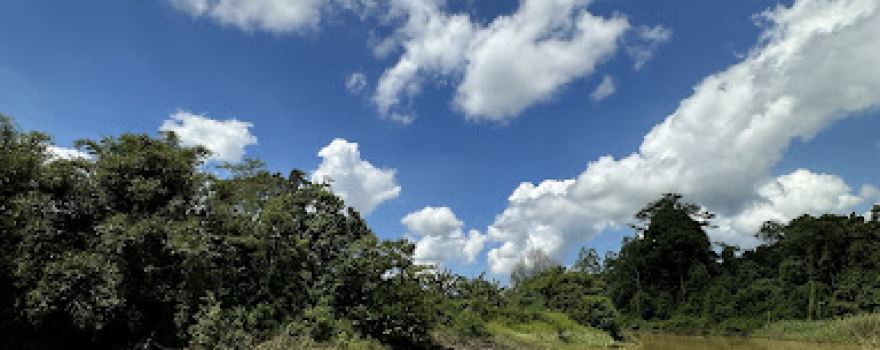Taman Nasional Kutai