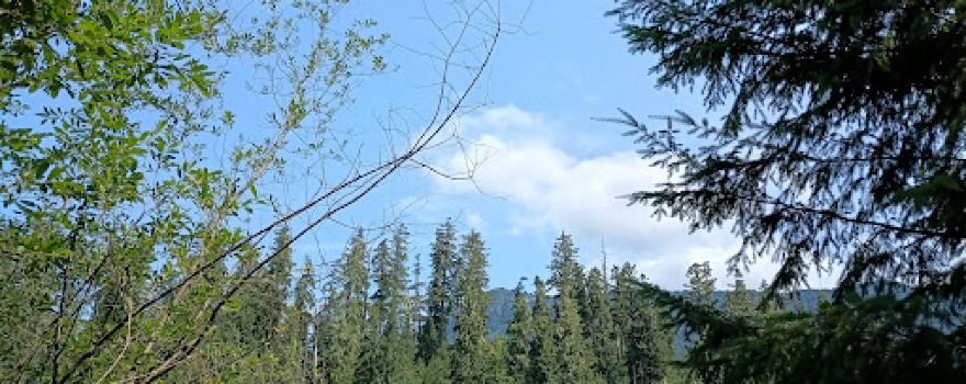 Skagit-Sauk Reach Trail