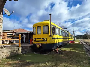The Train Of Sila