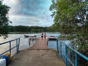 Nature Reserve and Marina