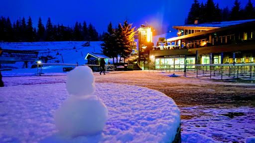 Whistler Village Gondola
