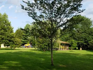 Betts Park