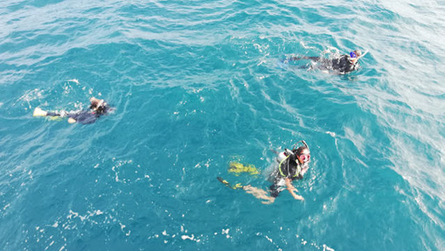 Pimp My Dive PADI 5 Star IDC Center