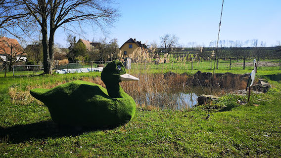 Parc à Cigognes