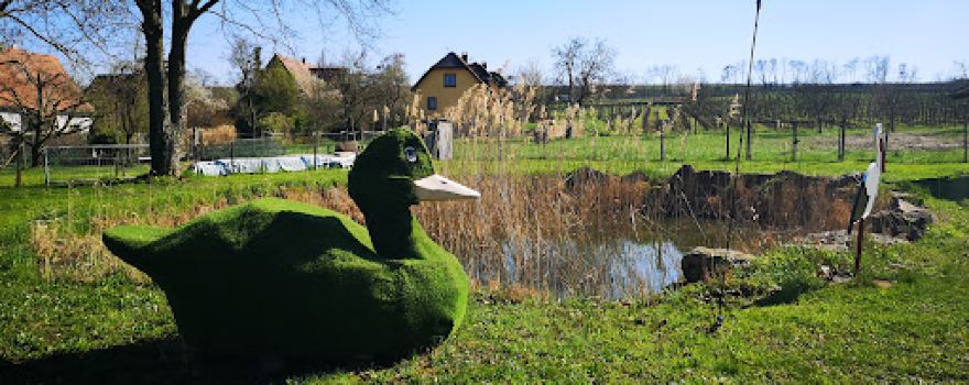 Parc à Cigognes