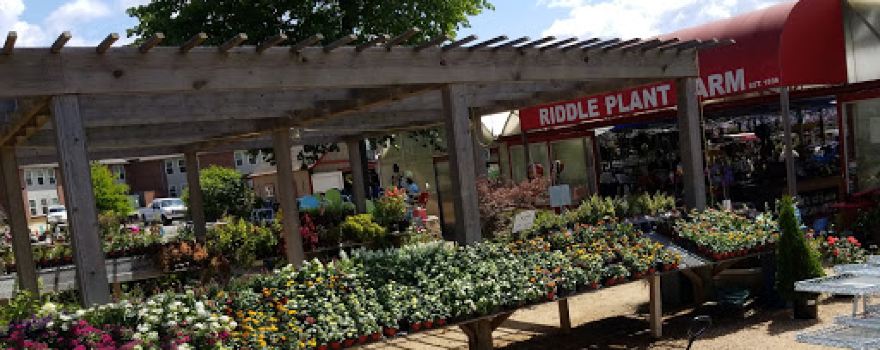 Riddle Plant Farm