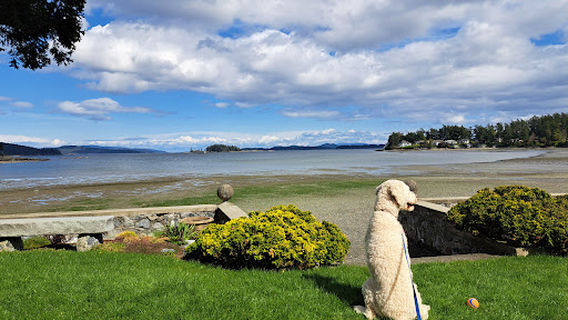 Roberts Bay - Shoal Harbour Migratory Bird Sanctuary