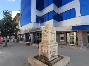Altin Park