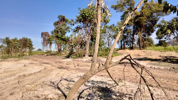 Corolla Park