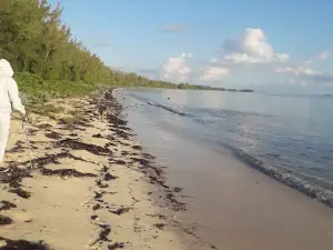 Andros Island