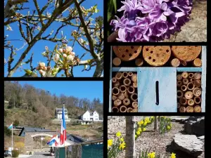 Camping Clervaux