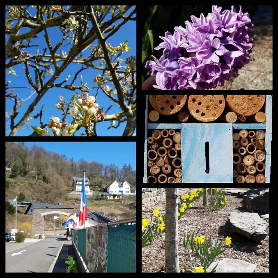 Camping Clervaux