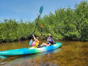 Florida Keys Kayak & Paddle Board