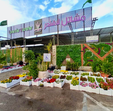مشاتل لافندر | Lavender Nurseries