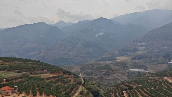 Ailao Mountain Terraces