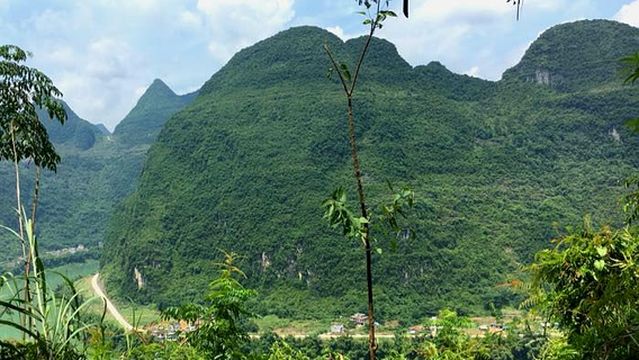 fan jia chuan gu xiang