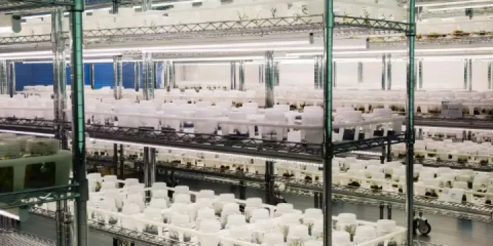 金沙江向溪珍稀植物園