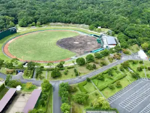 Hiroshima Toyo Carp Yuu Field