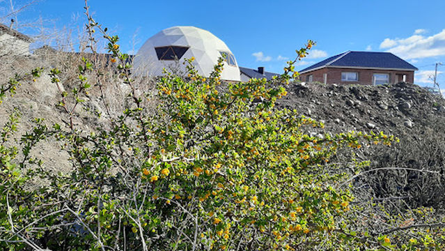 Domo Teatro Plazakoon
