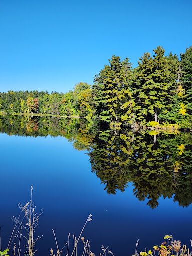 Black River Running Trail Head