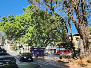 Paróquia e Igreja Matriz Divino Espírito Santo - Muniz Freire