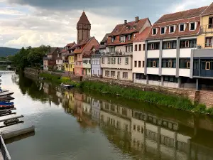 Tauber
