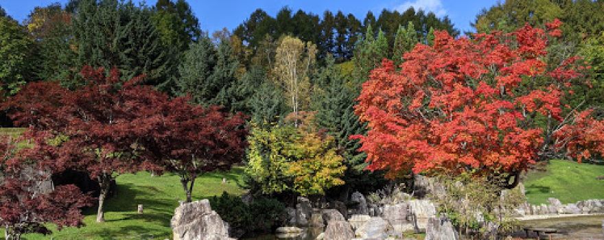Okusawa Camping Ground