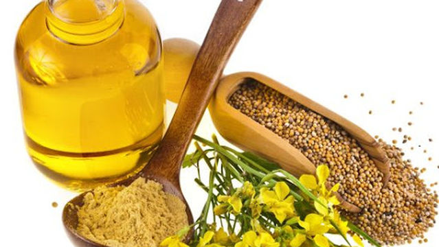 Essence Escape Paradise