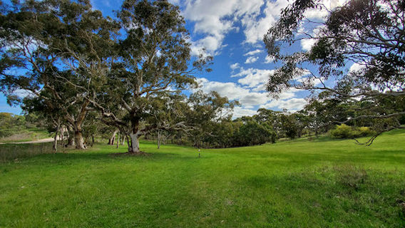 Mount Magnificent Conservation Park
