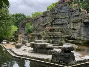 ARTIS Amsterdam Royal Zoo