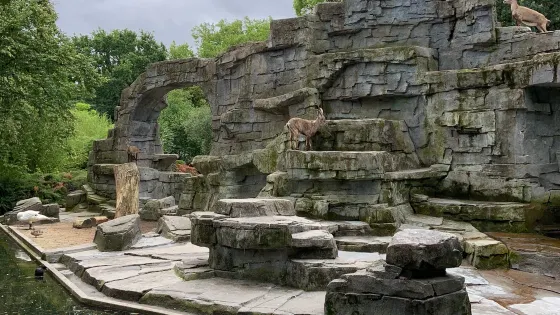 阿提斯皇家動物園