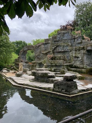 ARTIS Amsterdam Royal Zoo